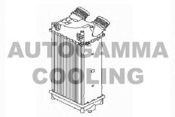 Интеркулер AUTOGAMMA 103862
