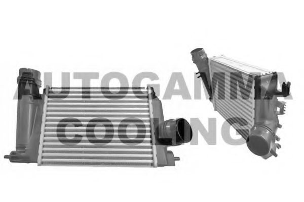 Интеркулер AUTOGAMMA 107432