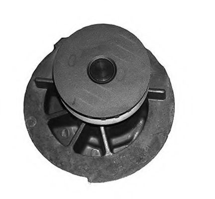 Водяной насос MAGNETI MARELLI 352316170875