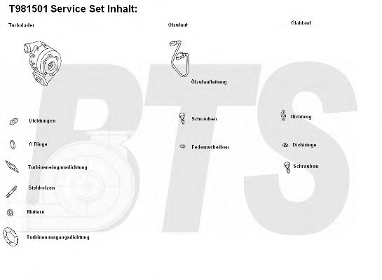 Компрессор, наддув BTS Turbo T981501