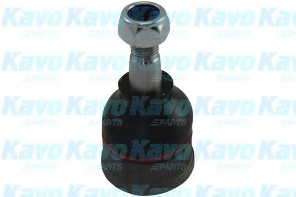 Несущий / направляющий шарнир KAVO PARTS SBJ-4536