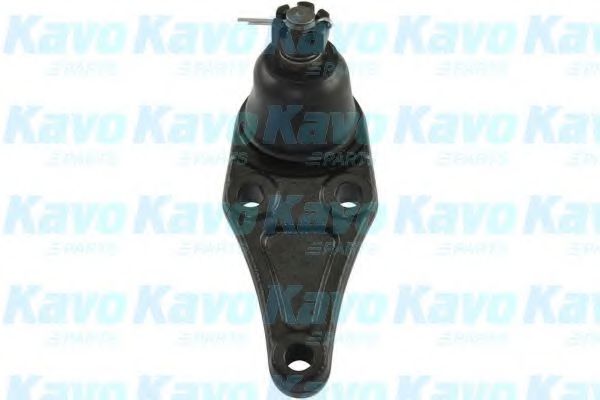 Несущий / направляющий шарнир KAVO PARTS SBJ-5529