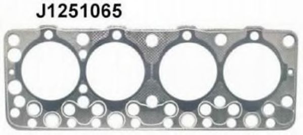 Прокладка, головка цилиндра NIPPARTS J1251065