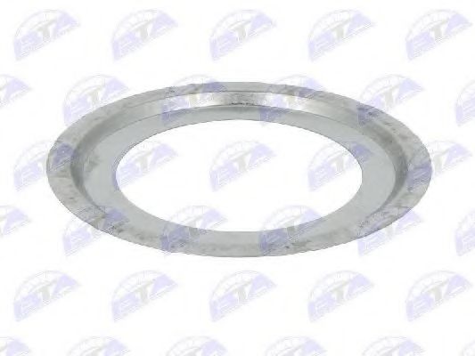 Крышка, подшипник ступицы колеса BTA B06-2076