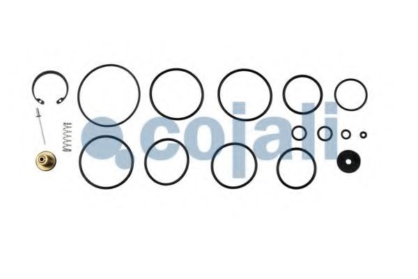 Ремкомплект COJALI 6012061
