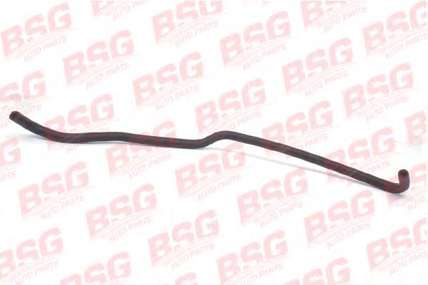 Шланг BSG 30720049