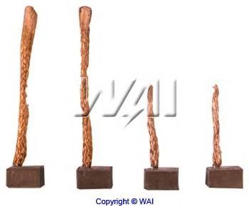 Угольная щетка, генератор WAIglobal PSX163-164