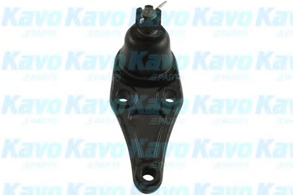 Несущий / направляющий шарнир KAVO PARTS SBJ-5527