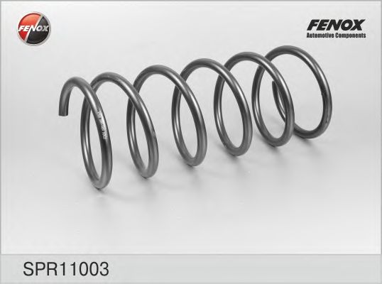 Пружина ходовой части FENOX SPR11003