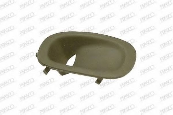 Покрытие, фара PRASCO RG3401247