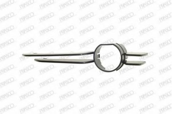 Покрытие, фара PRASCO BM0182126