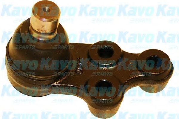 Несущий / направляющий шарнир KAVO PARTS SBJ-7505