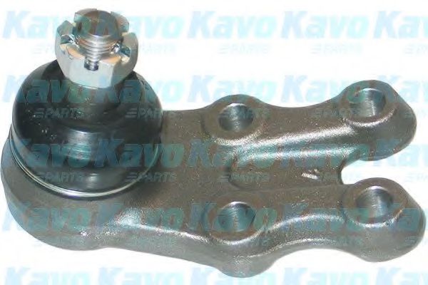 Несущий / направляющий шарнир KAVO PARTS SBJ-5520