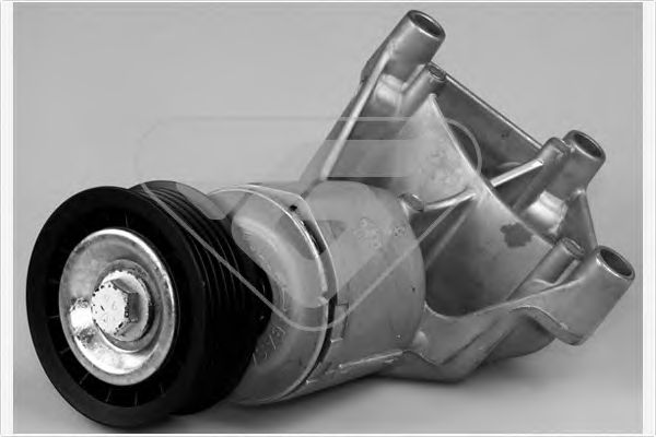 Натяжной ролик, поликлиновой  ремень HUTCHINSON T0318