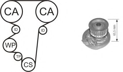 Водяной насос + комплект зубчатого ремня AIRTEX WPK-144701