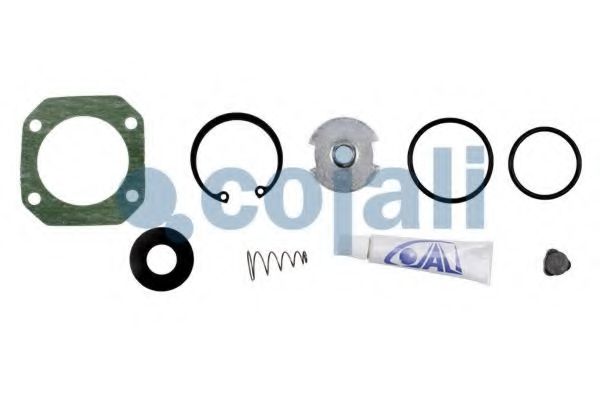 Ремкомплект COJALI 6012188
