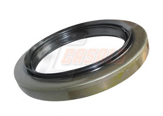 Уплотняющее кольцо, ступица колеса CASALS 20351