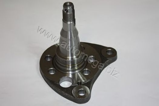 Ступица колеса AUTOMEGA 3040706216Q0AB