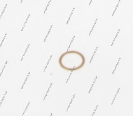 Уплотнительное кольцо, резьбовая пр NPS M129A06