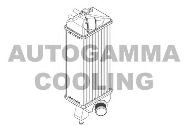 Интеркулер AUTOGAMMA 107451