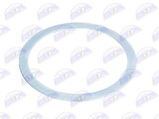 Уплотняющее кольцо, ступица колеса BTA B06-2082