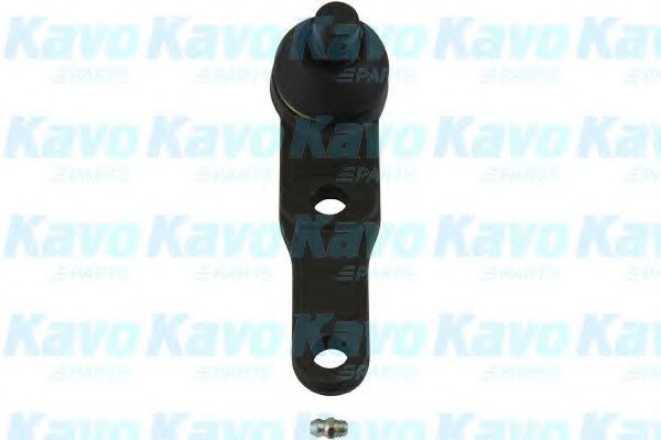 Несущий / направляющий шарнир KAVO PARTS SBJ-1005