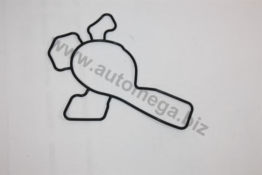 Прокладка, водяной насос AUTOMEGA 1013340633