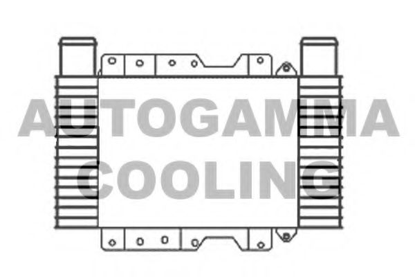 Интеркулер AUTOGAMMA 105741