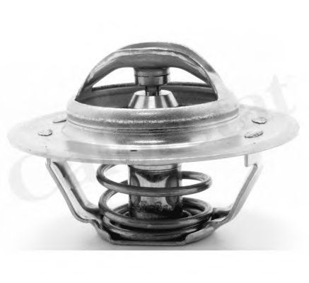 Термостат, охлаждающая жидкость CALORSTAT by Vernet TH1309.87