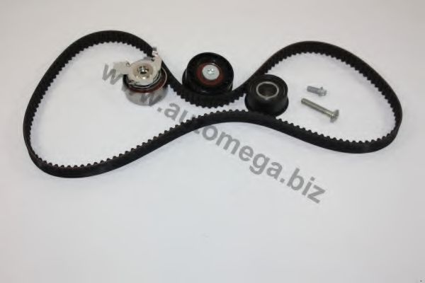 Комплект ремня ГРМ AUTOMEGA 1016060274
