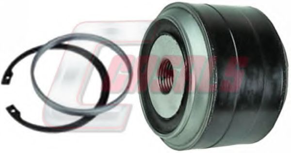 ремонтный комплект, рычаг подвески CASALS R3511