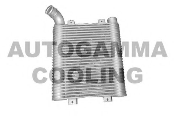 Интеркулер AUTOGAMMA 104094