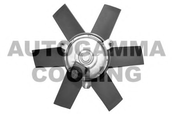 Вентилятор, охлаждение двигателя AUTOGAMMA GA220611