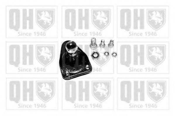 Несущий / направляющий шарнир QUINTON HAZELL QSJ887S