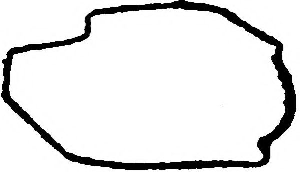 Прокладка, крышка головки цилиндра PAYEN JN610