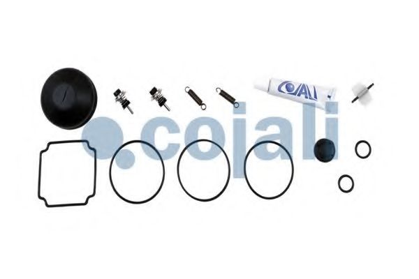 Ремкомплект COJALI 6012004