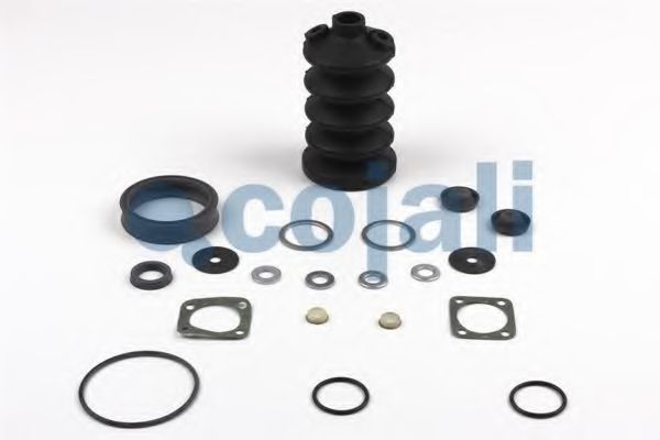 Ремкомплект COJALI 6012007