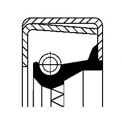 Уплотняющее кольцо, ступица колеса CORTECO 82011593