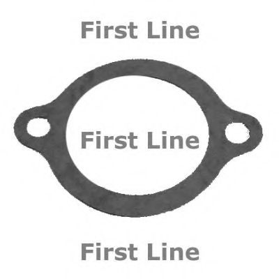 Термостат, охлаждающая жидкость FIRST LINE TG029