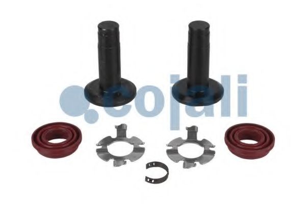 Ремкомплект, тормозной суппорт COJALI 6080010