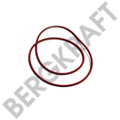 Уплотняющее кольцо, ступица колеса BERGKRAFT BK6120387