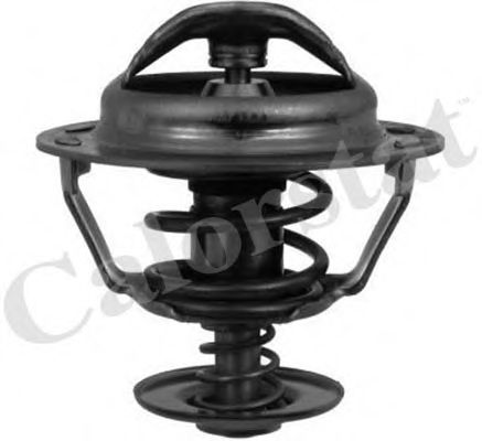 Термостат, охлаждающая жидкость CALORSTAT by Vernet TH5353.83J