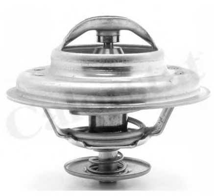 Термостат, охлаждающая жидкость CALORSTAT by Vernet TH6034.79