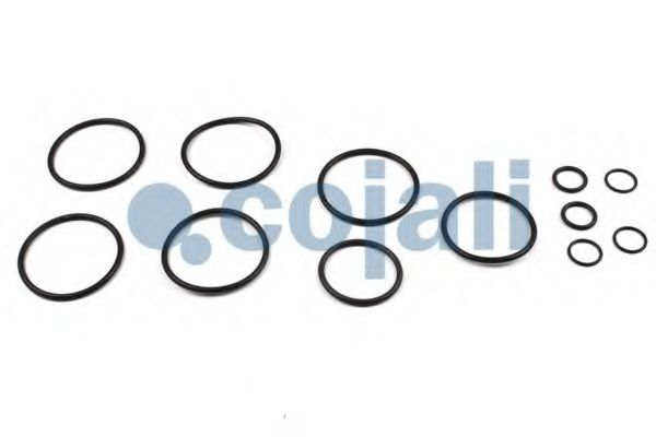 Ремкомплект; Ремкомплект, тормозной клапан - тормозной механизм COJALI 6019012