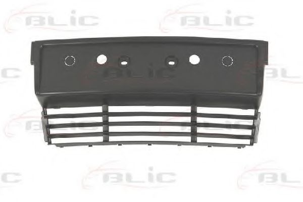 Кронштейн щитка номерного знака BLIC 6509-01-0057920P