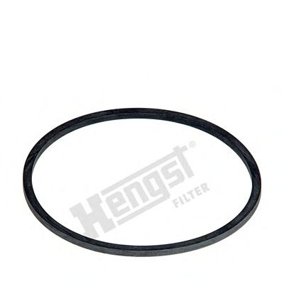 Прокладка HENGST FILTER D10