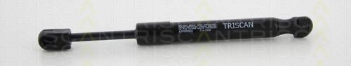 Газовая пружина, заднее стекло TRISCAN 8710 20205