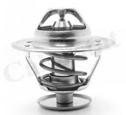 Термостат, охлаждающая жидкость CALORSTAT by Vernet TH1515.76J