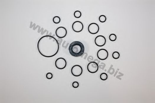 Комплект прокладок, гидравлический насос AUTOMEGA 301980049026B