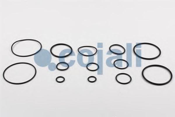 Ремкомплект, тормозной клапан - тормозной механизм COJALI 6012012